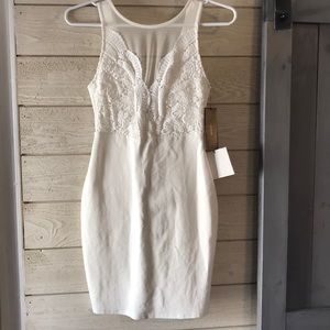 Lulus bodycon dress